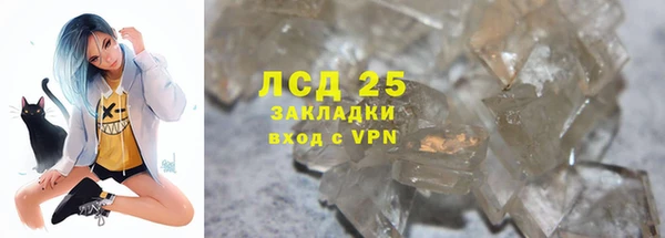 ГАЛЛЮЦИНОГЕННЫЕ ГРИБЫ Аркадак
