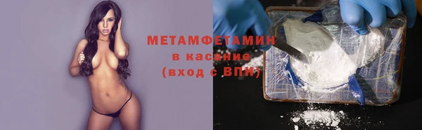 ГАЛЛЮЦИНОГЕННЫЕ ГРИБЫ Аркадак