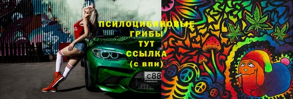 дмт Армянск