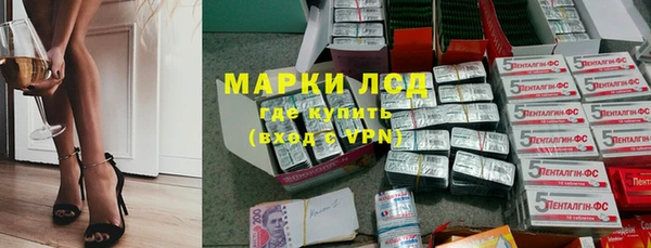 ГАЛЛЮЦИНОГЕННЫЕ ГРИБЫ Аркадак