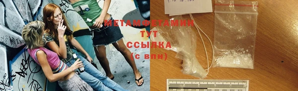 ГАЛЛЮЦИНОГЕННЫЕ ГРИБЫ Аркадак